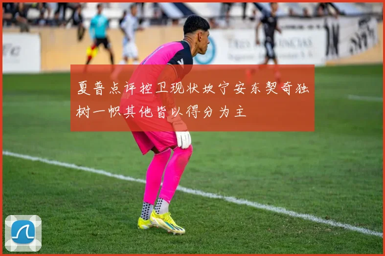 夏普点评控卫现状坎宁安东契奇独树一帜其他皆以得分为主