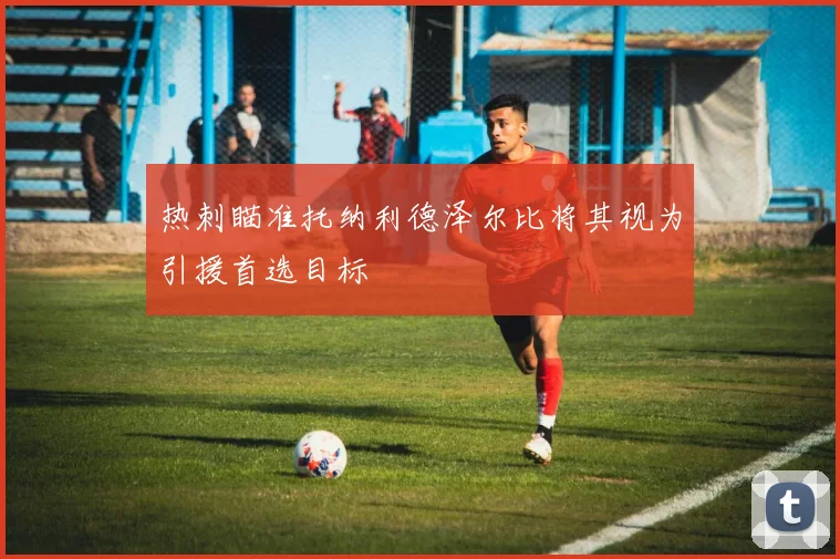 热刺瞄准托纳利德泽尔比将其视为引援首选目标